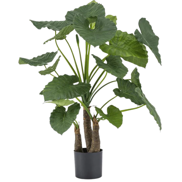 Kunstige Alocasia