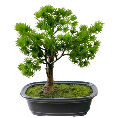 Kunstig Bonsai