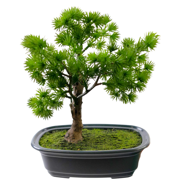 Kunstig Bonsai