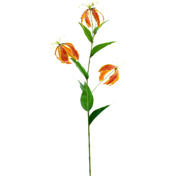 Kunstig Gloriosa