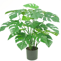 Kunstig Monstera og Philo