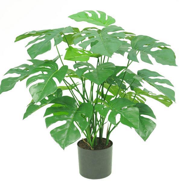 Kunstig Monstera og Philo
