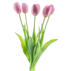 Kunstig tulipaner