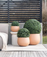 Drie Kunstplant Buxus romeinse stijl UV D30cm ronde terracotta plantenbakken met afgezette groene struiken staan op een patio naast een beige buitenbank en een klein wit tafeltje, met daarachter een privacyscherm met latten.