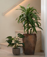 En høj kunstplante Alocasia Cucullata UV 53 cm med hjerteformede blade i en stor brun potte med struktur og en kortere plante i en lille grå pottestand på en lys trætrappe mod neutral beige væg og gelænder.