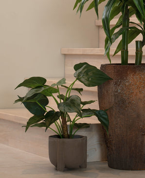 Een potplant met grote, hartvormige bladeren rust op een lichte houten vloer bij de trap. Ernaast staat de Kunstplant Alocasia Cucullata UV 53 cm in een pot met bruine structuur.