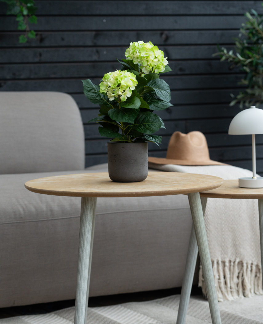 Den Artificial Hydrangea Green UV 35 cm plante står på et træbord foran en grå sofa, ledsaget af en beige hat og hvid lampe, med en mørk trævæg i baggrunden.