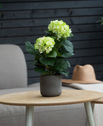 Den Kunstige Hortensia Grøn UV 35 cm med lysegrønne blomster står på et rundt træbord. Bagved står en grå stol med hynder og en beige hat på et let tæppe.