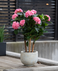 Kunstig hortensia 85 cm lyserød