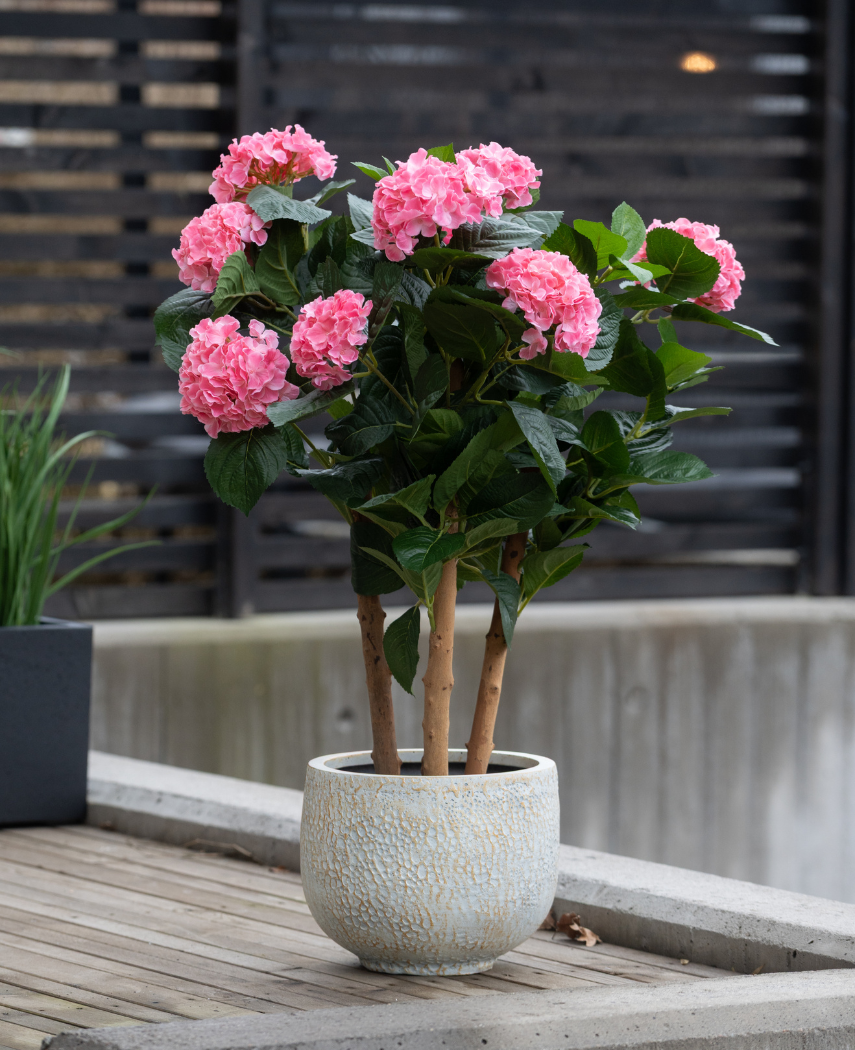 De Kunstplant Hortensia UV 85 cm roze, met meerdere stelen met trossen felroze hortensiabloemen en groene bladeren, staat buiten op een houten oppervlak bij een modern hek.