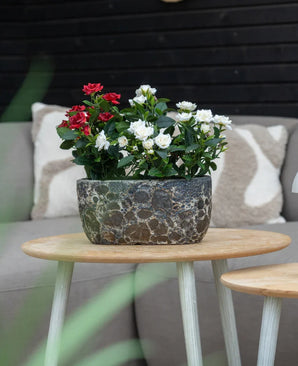 En Artificial Plant Patio Rose 35 cm creme UV står på et rundt træbord foran en beige sofa med mønstrede hynder.