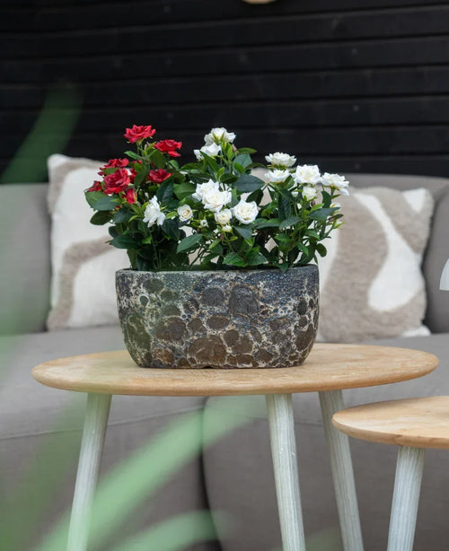En Artificial Plant Patio Rose 35 cm creme UV står på et rundt træbord foran en beige sofa med mønstrede hynder.