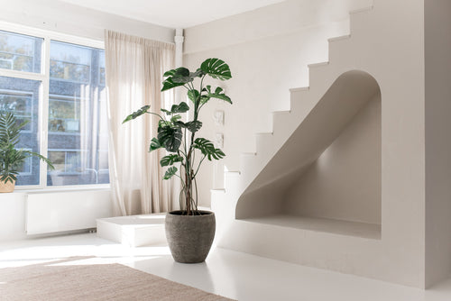 Minimalistisk, solbeskinnet værelse med store vinduer, en Kunstig Plante Monstera 210 cm, beige tæppe, unik hvid trappe med en hvælvet niche nedenunder. Lyse gardiner og en plante i vindueskarmen fuldender det fredfyldte rum.