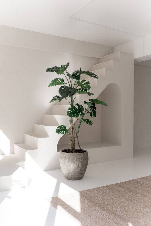 Kunstplanten Monstera 210 cm står i et minimalt, solbeskinnet interiør med hvide vægge, moderne linjer, en trappe og et beige tæppe. Blødt naturligt lys understreger rummets slanke design.