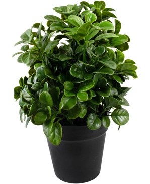 Kunstig plante Petonia 24 cm