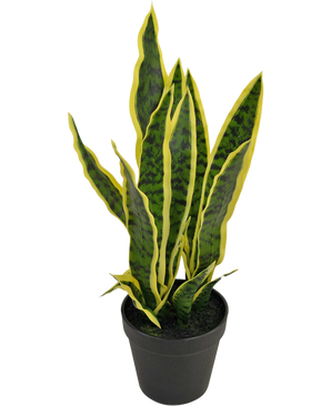 Kunstig plante Sansevieria Laurentii 44 cm i prydpotte