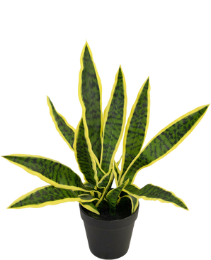 Kunstig plante Sansevieria Laurentii 44 cm i prydpotte