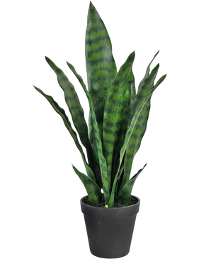 Kunstig plante Sansevieria Zeylanica 44 cm