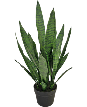 Kunstig plante Sansevieria Zeylanica 71 cm