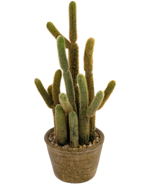 Kunstig kaktus Cereus 35 cm