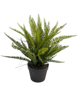 Kunstig plante Boston Fern 53 cm