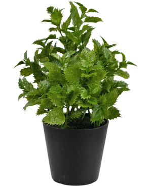 Kunstig plante Perilla 25 cm