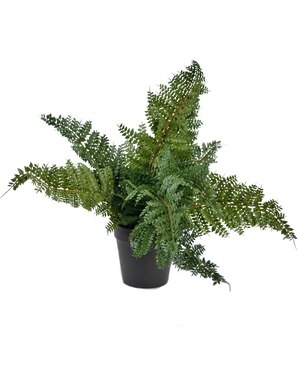 Kunstig plante Bregne 33 cm