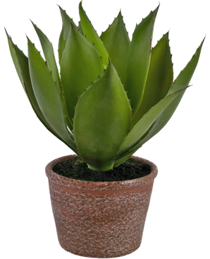 Kunstig plante Agave 25 cm