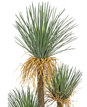 Kunstig plante Yucca deluxe 182 cm