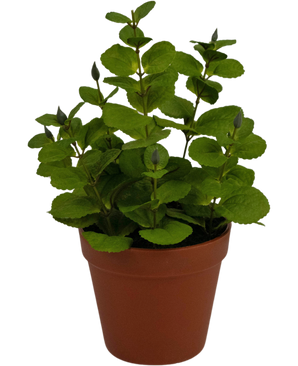 Kunstig plante Mint 30 cm