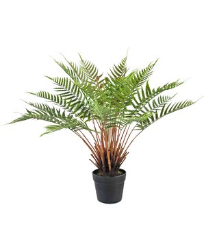 Kunstig plante Bregne 66 cm