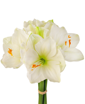 Kunstig blomst Amaryllis hvid 36 cm