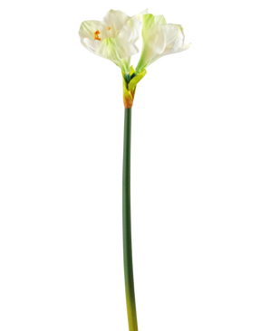Kunstig blomst Amaryllis hvid 66 cm