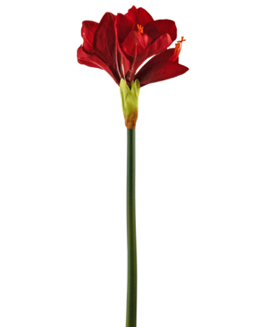 Kunstig blomst Amaryllis rød 66 cm