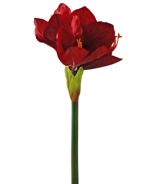 Kunstig blomst Amaryllis rød 66 cm