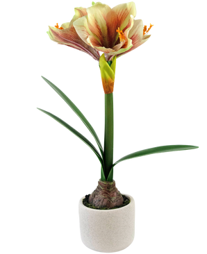 Kunstig blomst Amaryllis Rød/Gul 48 cm