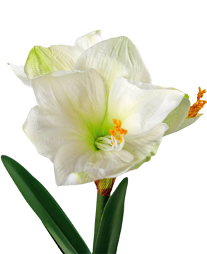 Kunstig blomst Amaryllis hvid 48 cm