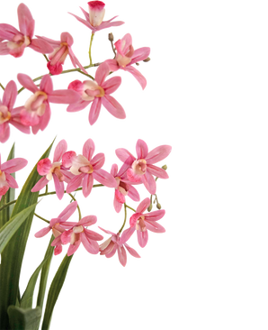 Kunstig plante Mini Cymbidium Real Touch 58 cm pink