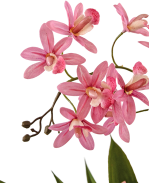 Kunstig plante Mini Cymbidium Real Touch 45 cm pink