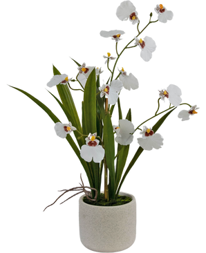 Kunstig Oncidium Real Touch 48 cm hvid