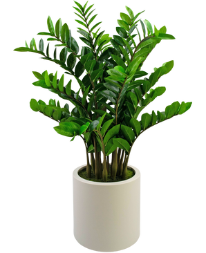 Kunstig plante Zamioculcas færdiglavet i beige potte 120 cm