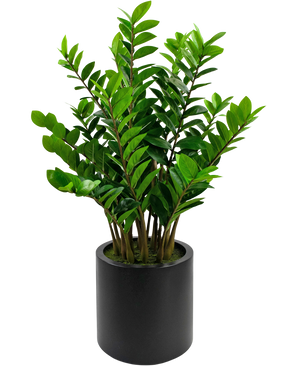 Kunstig plante Zamioculcas færdiglavet i sort potte 120 cm