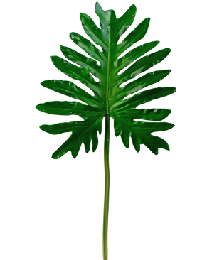 Kunstig Philodendron 68cm