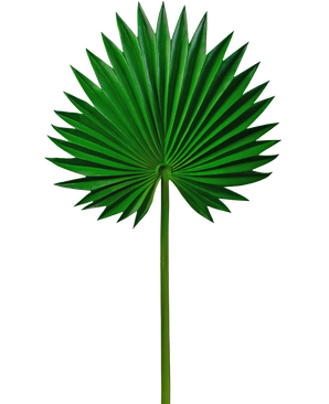 Kunstig blad Washingtonia 73cm