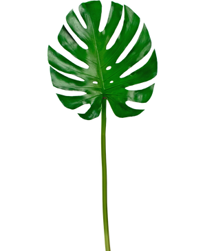 Kunstig blad Monstera 88 cm