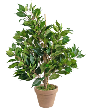 Kunstig plante Ficus 60 cm en i potte