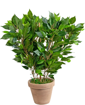 Kunstig plante Mini Ficus 45 cm en i potte