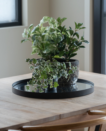 På et lyst træbord ved vinduet står en sort bakke med tre Artificial Ivy Deluxe grøn-hvide i potter på 22 cm UV; to træstole er delvist synlige.