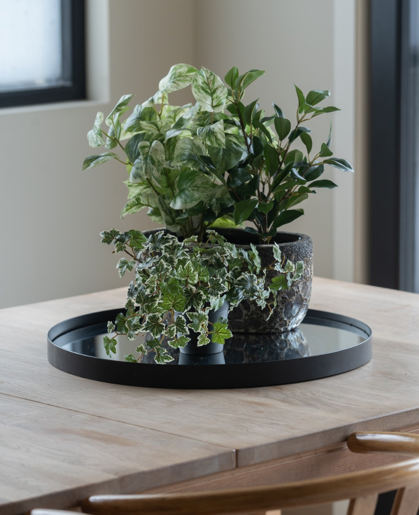 På et lyst træbord ved vinduet står en sort bakke med tre Artificial Ivy Deluxe grøn-hvide i potter på 22 cm UV; to træstole er delvist synlige.