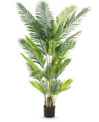 Kunstig plante Phoenix 200 cm